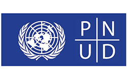 Pnud